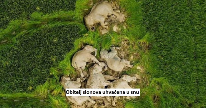 10 nevjerojatnih prizora koji će vas naučiti nešto potpuno novo