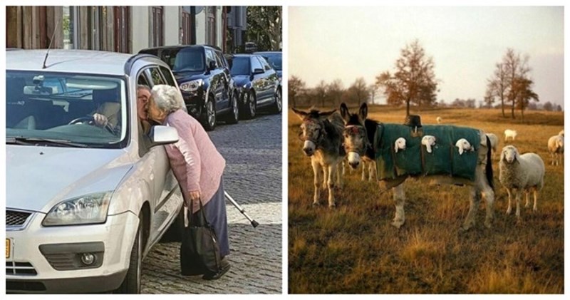 16 toplih fotografija koje će vam na trenutak uljepšati i najteže dane