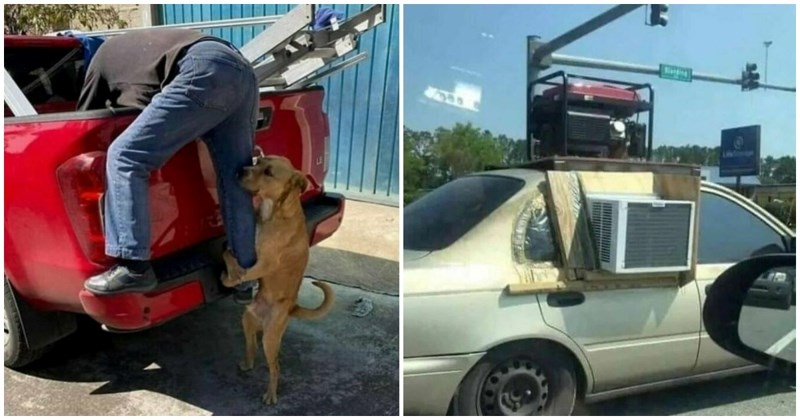 15 ljudi zateklo je totalno bizarne prizore i morali su ih svima pokazati. Urnebesni su