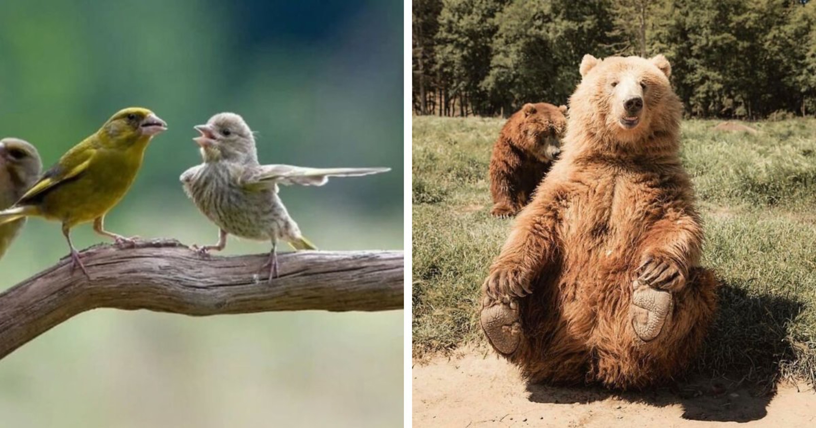 17 nevjerojatnih prizora prirode koji izgledaju kao da su fotošopirani, a nisu