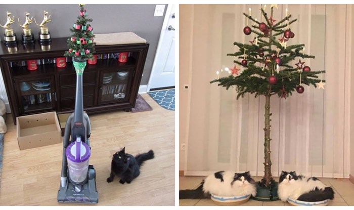 19 urnebesnih ideja za "zaštititi" božićna drvca od kućnih ljubimaca, svaka je bolja od prethodne