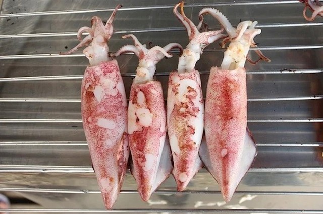 Najveća ikad ulovljena lignja težila je oko 450 kg i bila duga oko 12 metara. Kad bi se od ove lignje radili ukusni kolutići, bili bi veličine traktorskih guma.