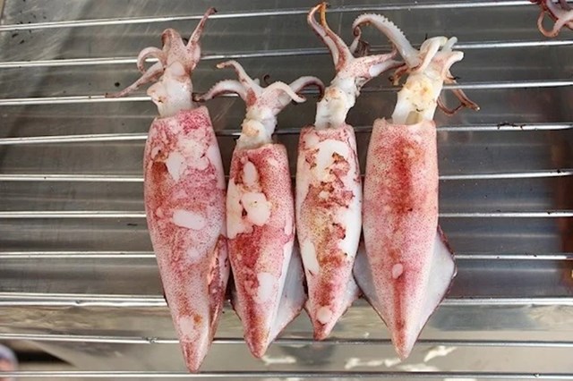 Najveća ikad ulovljena lignja težila je oko 450 kg i bila duga oko 12 metara. Kad bi se od ove lignje radili ukusni kolutići, bili bi veličine traktorskih guma.