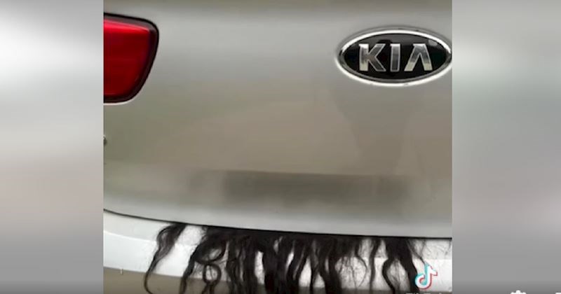 Zvali su policiju zbog kose koja je virila iz prtljažnika auta, neočekivan obrat priče je hit!