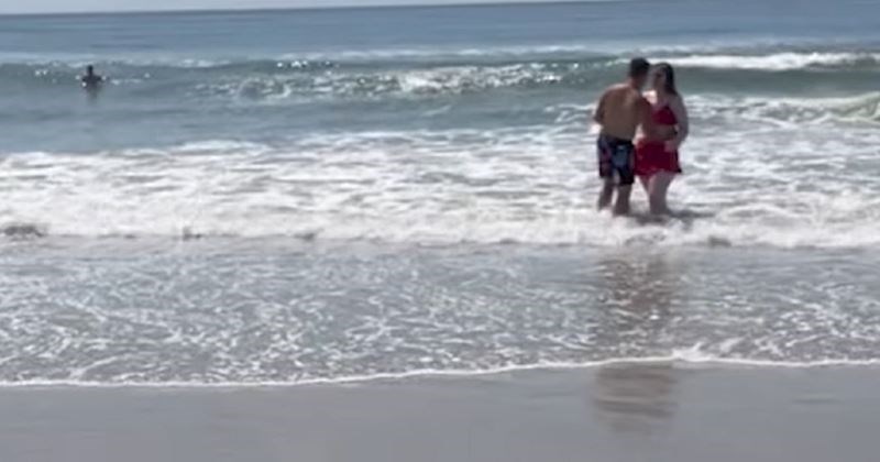Mladi par fotkao se na plaži kada im je u kadar ušetao stariji par i stvorio snimku za pamćenje