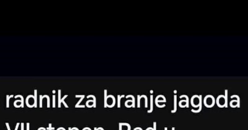Tip traži berače jagoda, oglas je u malo vremena postao ozbiljan hit zbog nekoliko detalja