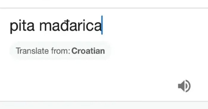 Google translate je imao svakakvih bisera, ali ovakav masakr prijevoda se rijetko viđa. Hit je!