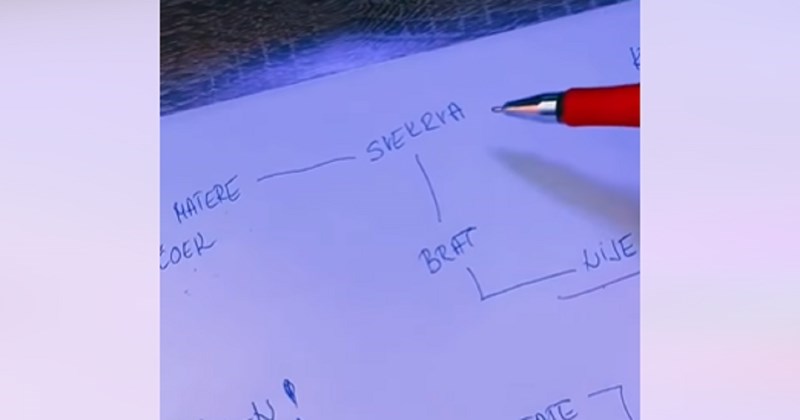 Video u kojem dvije žene raspliću balkanske rodbinske veze hit je u regiji, morate vidjeti