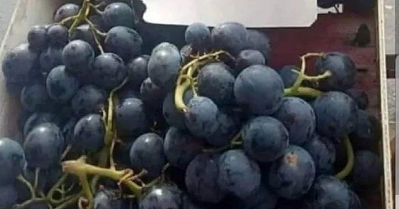 Natpis viđen na ovoj tržnici nasmijao je regiju, prodavaču je prekipjelo zbog odurne navike kupaca