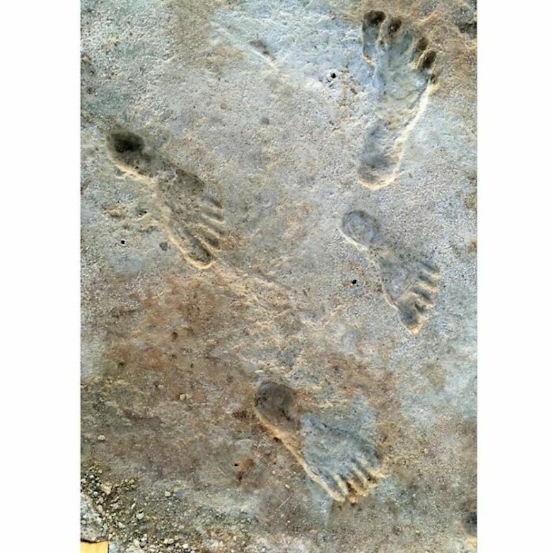 20 000 godina stare ljudske otiske otkrili su istraživači u Nacionalnom parku White Sands. Prema novoj studiji, ovi tragovi datiraju od prije 21 000 do 23 000 godina. Vjeruje se das u u to vrijeme masivne ledene ploče blokirale migraciju ljudi u Ameriku. Fotografirao Dan Odess