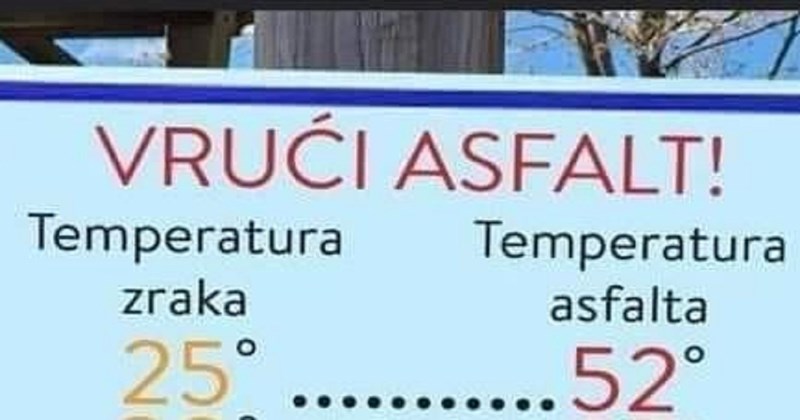 Mnogi ljudi ne misle o ovome, a spas je za zdravlje vaših ljubimaca. Vlasnici pasa ovo moraju znati!