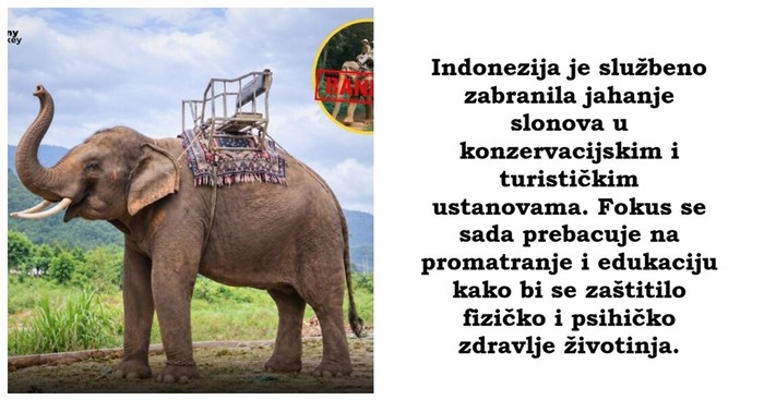 12 predivnih činjenica koje će vam popraviti dan i vratiti vjeru u ljude