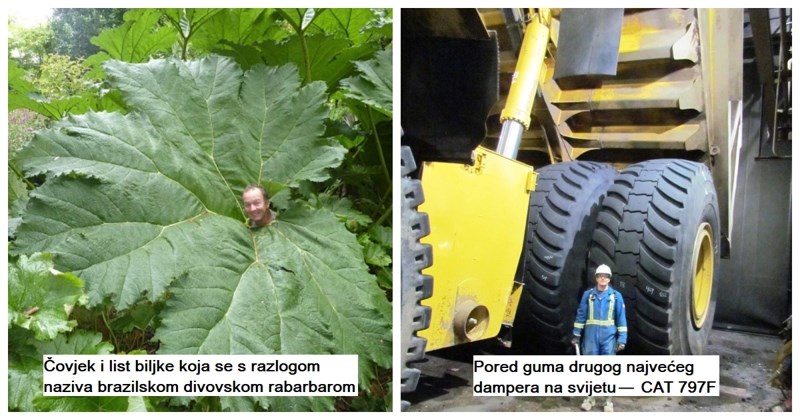 20+ stvari za koje smo svi čuli, ali nemamo pojma o njihovoj veličini