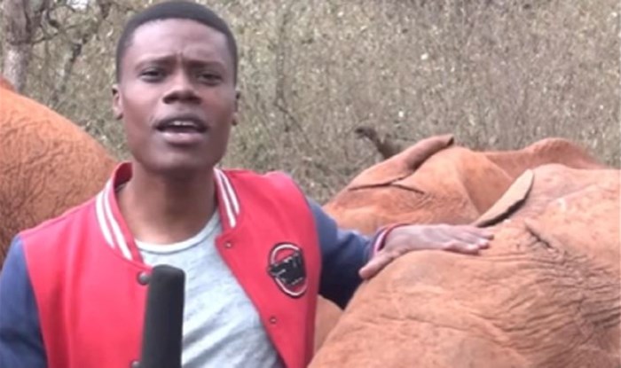 Kenijski reporter izvještavao je s terena kada je slonić upao u kadar na najslađi mogući način!