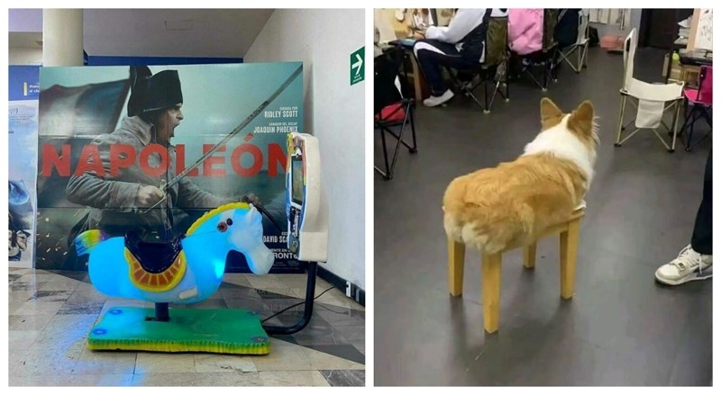 13 prekomičnih slučajnosti koje su ovi ljudi ugledali i morali su ih svima pokazati