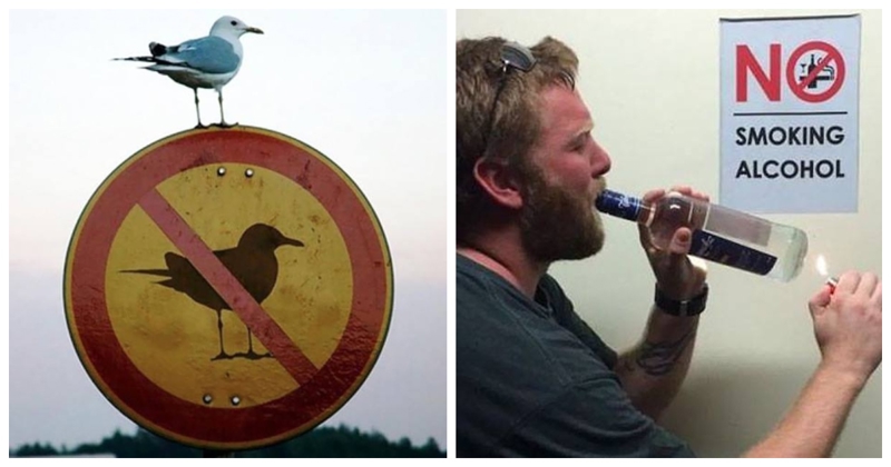 20 buntovnika bez razloga kojima nitko neće govoriti kako da žive i što da rade