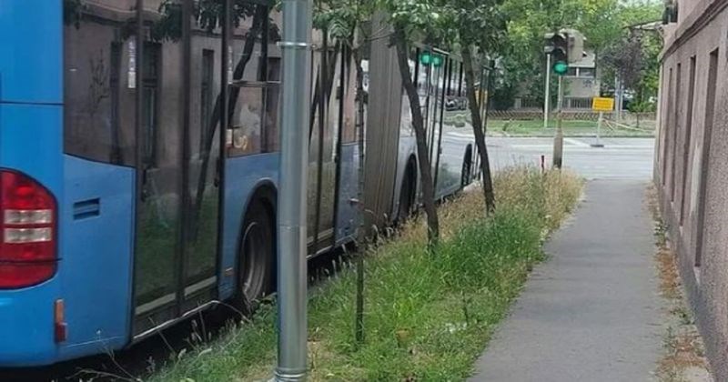 Bizarna instalacija iz susjedstva dijeli se regijom, morate vidjeti ovaj biser