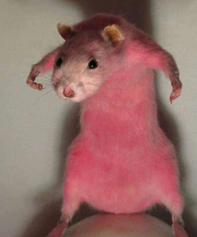 2.