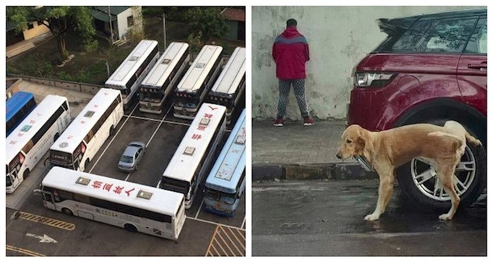 16 puta kada je karma bila brza i efikasna, fotke su urnebesne