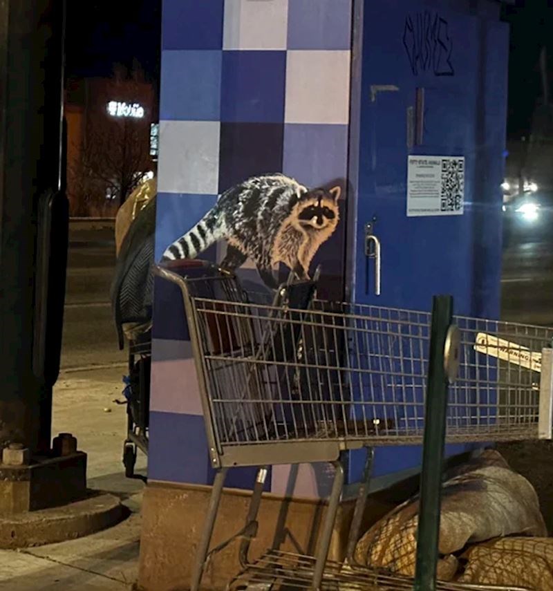 Kolica i slika su se savršeno poklopili