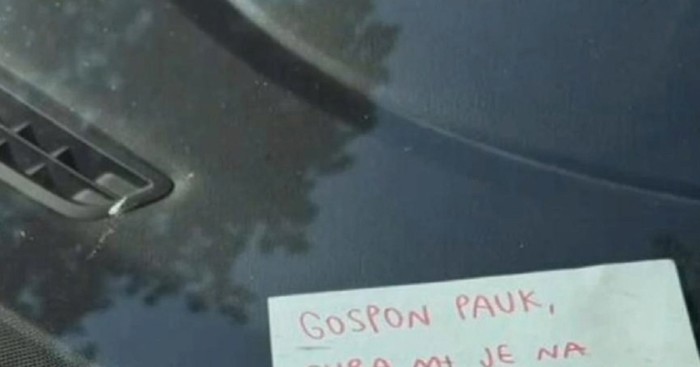 Molba jednog momka pauk službi raznježila je Fejs, pogledajte zašto moli da mu ne dignu auto