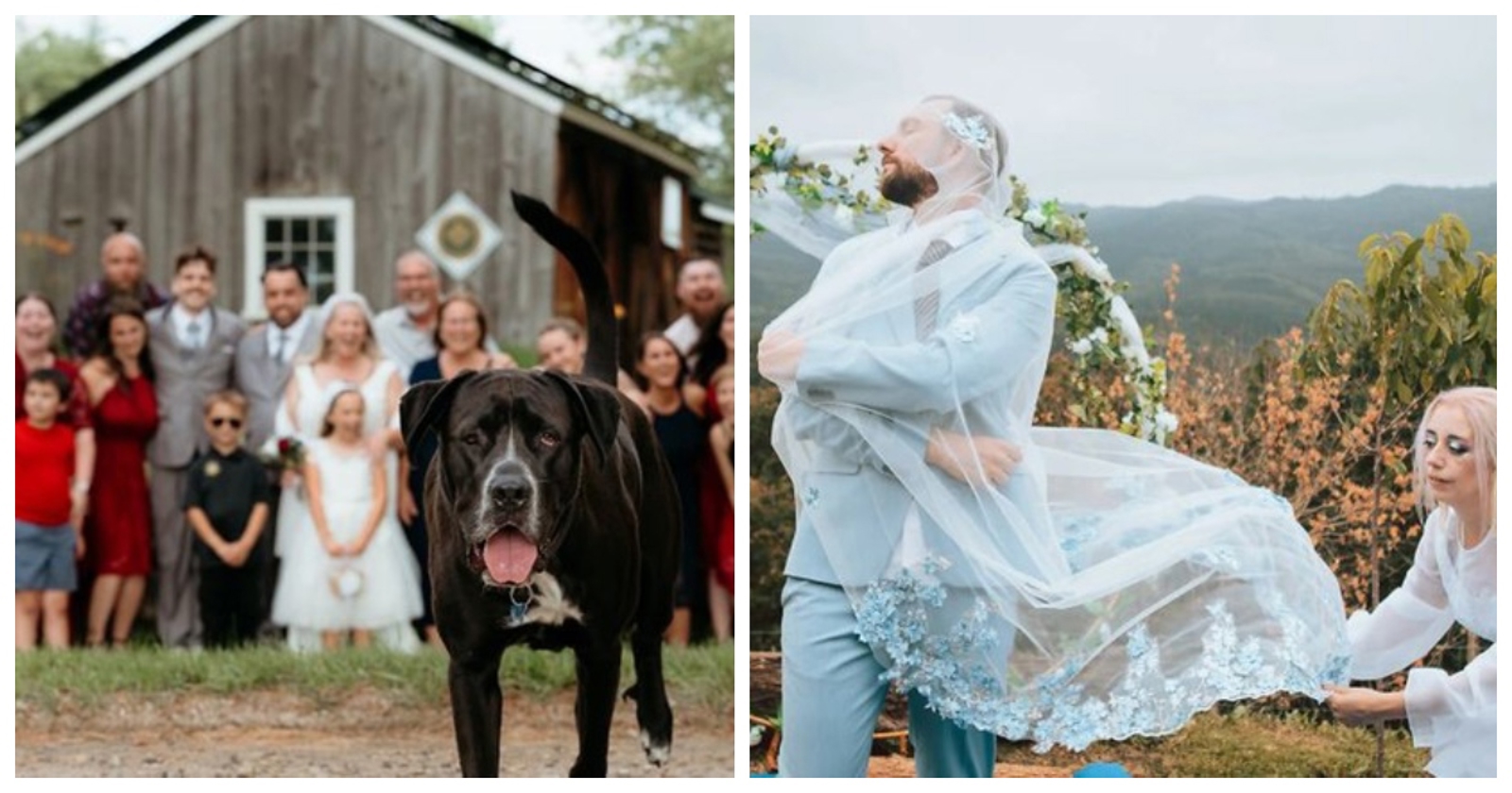 15 urnebesnih fotografija s vjenčanja koje dokazuju da ništa ne mora biti savršeno