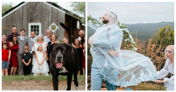 15 urnebesnih fotografija s vjenčanja koje dokazuju da ništa ne mora biti savršeno