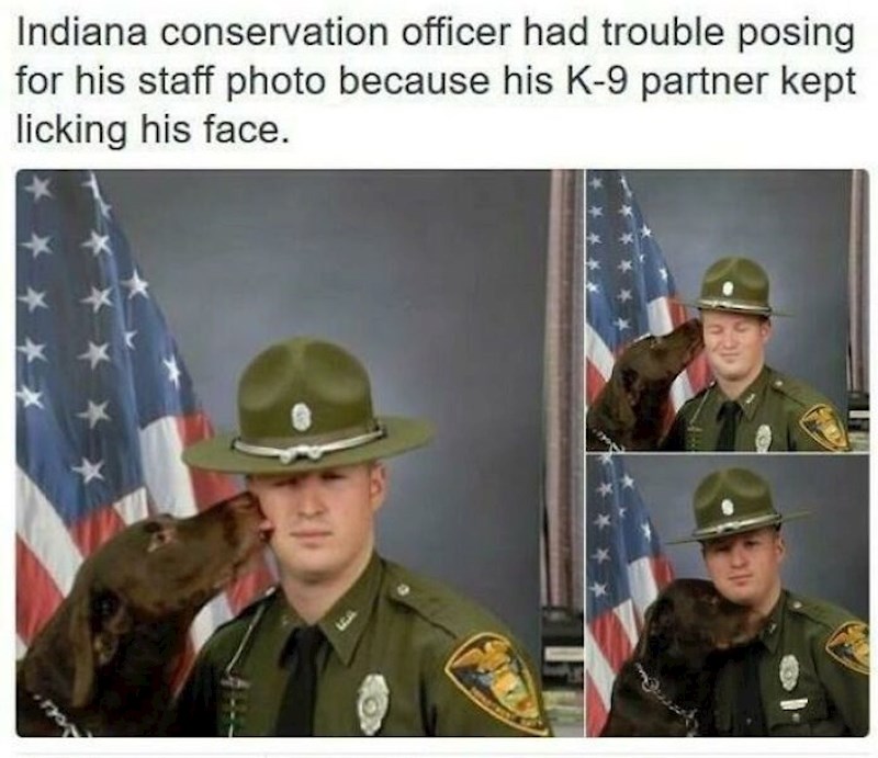 9. Četveronožni partner se malo opustio na službenom fotografiranju