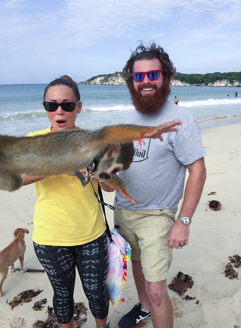 Kad ti majmun upadne u fotku u Dominikani