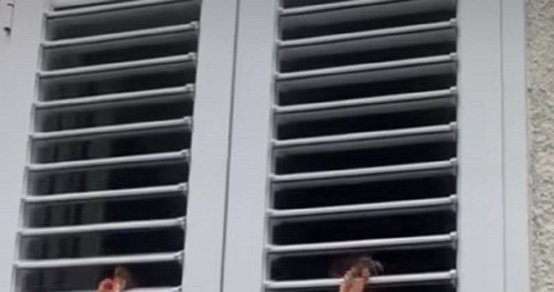 Bizaran prizor na jednom prozoru u Dalmaciji hit je na Fejsu, ovu scenu je baš teško objasniti