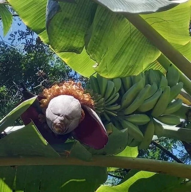2.