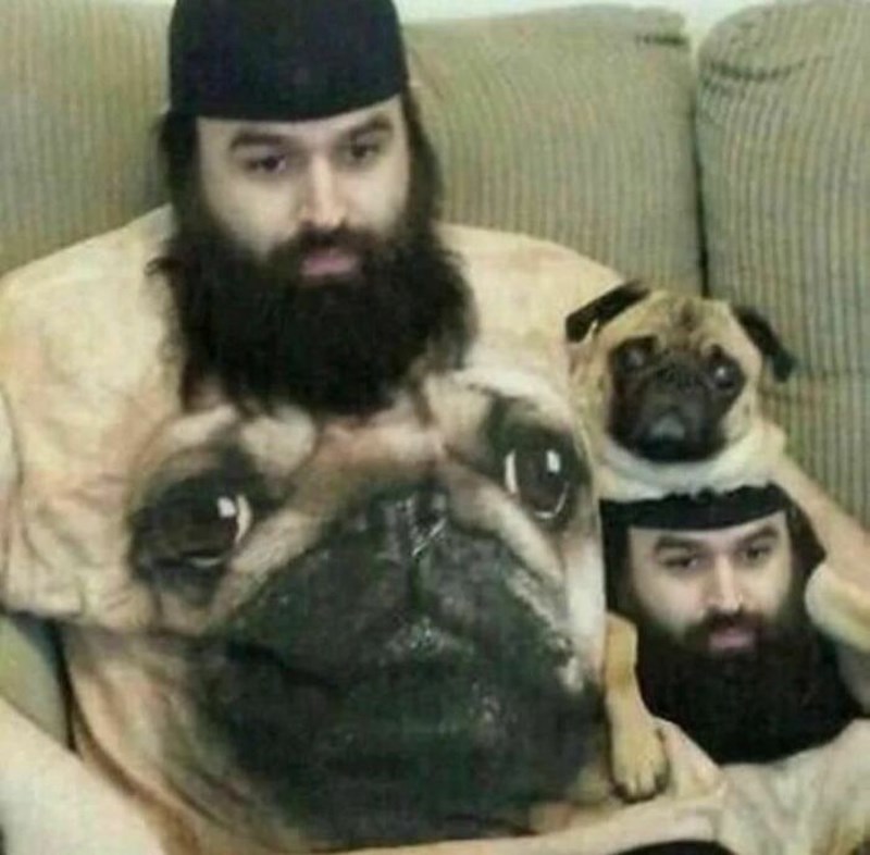 Najbolja slika na internetu!