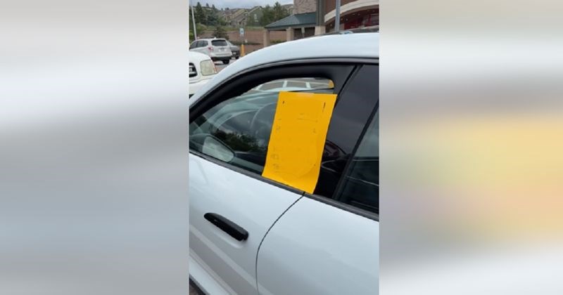 Prolazili su parkingom kada su ugledali neobičnu poruku na jednom autu. Video je urnebesan!