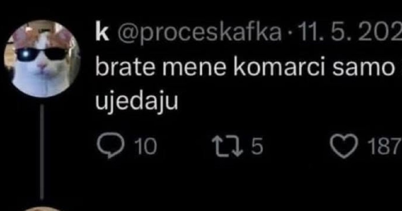 Tip se požalio na ugrize komaraca, urnebesni nastavak prepiske ozbiljan je hit na IG-u