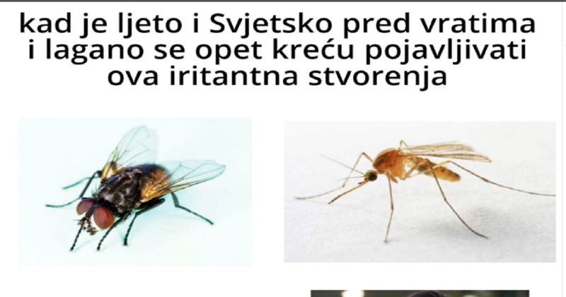 Fora o ljetu i Svjetskom prvenstvu u nogometu nasmijala je Fejs, odmah ćete vidjeti zašto