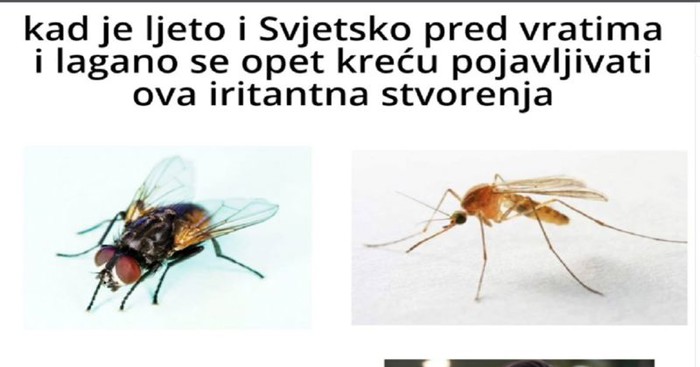 Fora o ljetu i Svjetskom prvenstvu u nogometu nasmijala je Fejs, odmah ćete vidjeti zašto