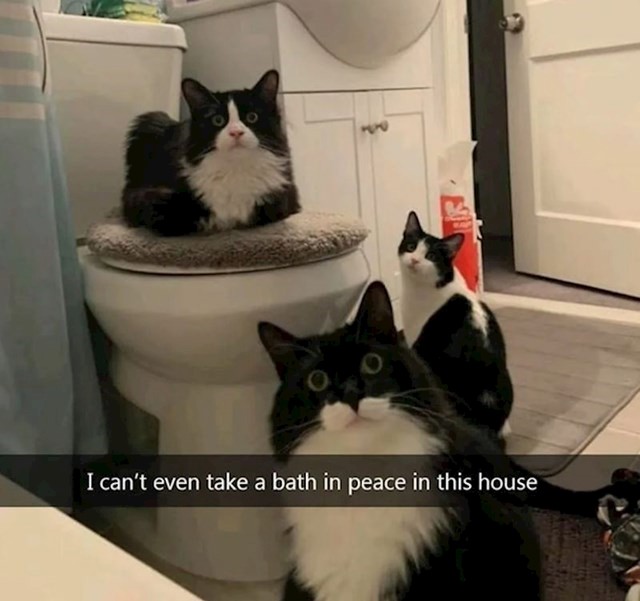 2.