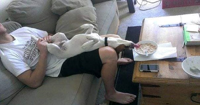 10 urnebesnih fotki pasa koji jednostavno izgube glavu kada vide hranu