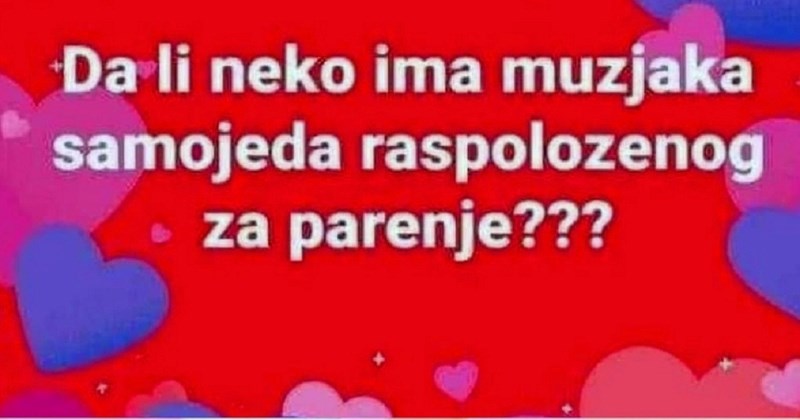 Netko je tražio mužjaka pasmine samojed za parenje, legendarni komentar ove žene ukrao je svu pažnju