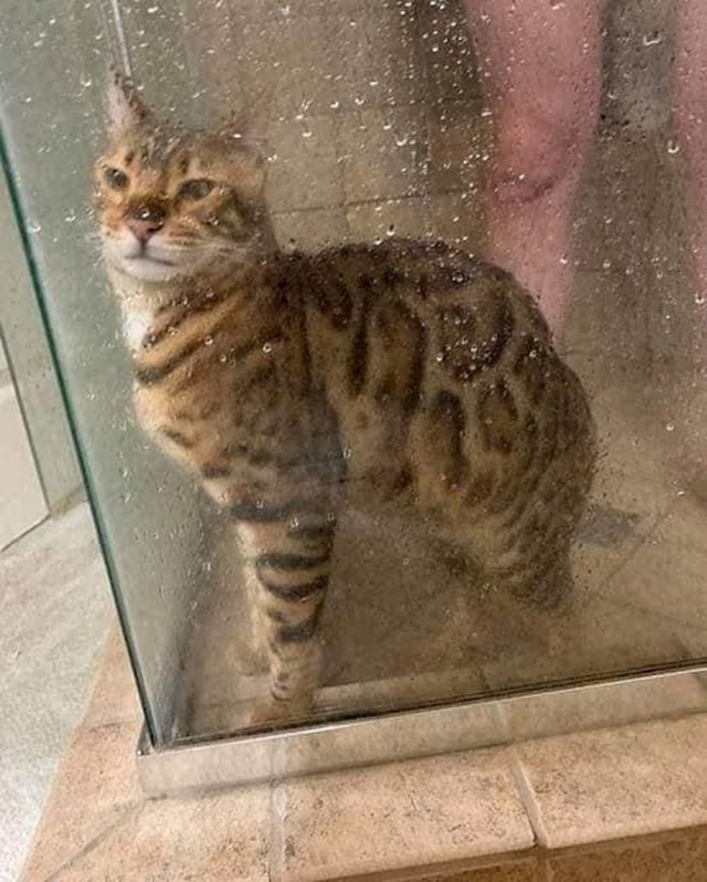 8.
