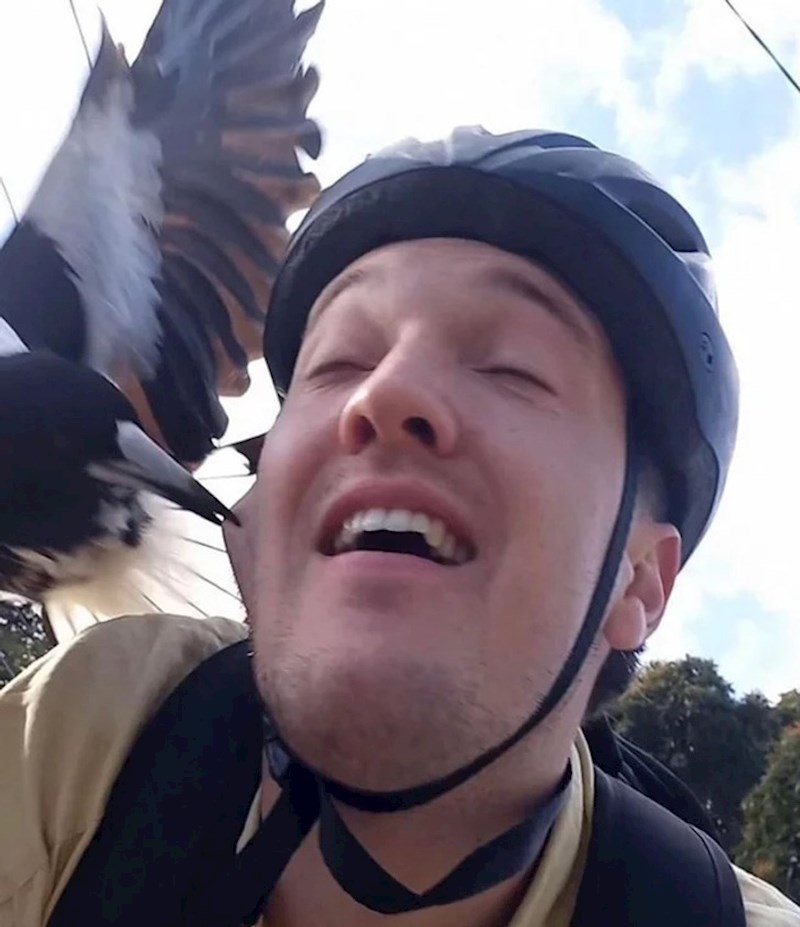 Danas sam odlučio ići biciklom na posao. Loša odluka!