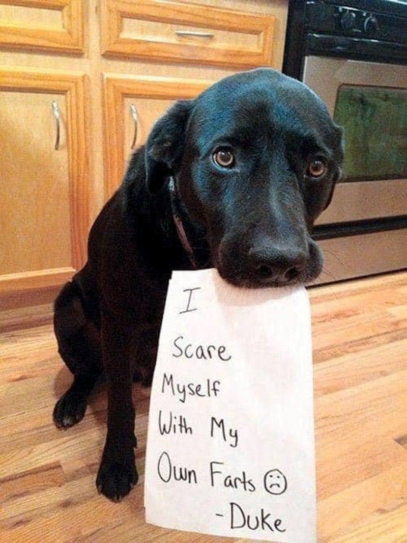 "Poplašim sam sebe kad puštam vjetrove"