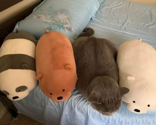 5.