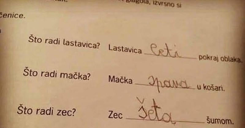 Klinac je nasmijao Hrvatsku genijalnim odgovorom u domaćoj zadaći, morate vidjeti