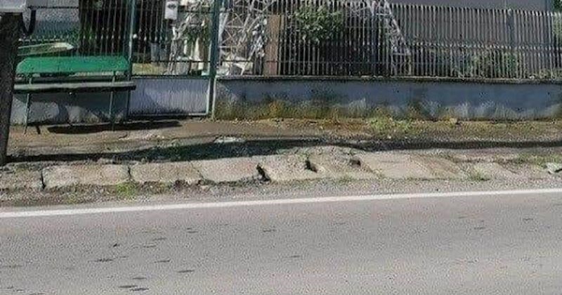 Bizaran prizor iz jednog dvorišta u Srbiji hit je na svjetski poznatoj FB stranici, morate vidjeti