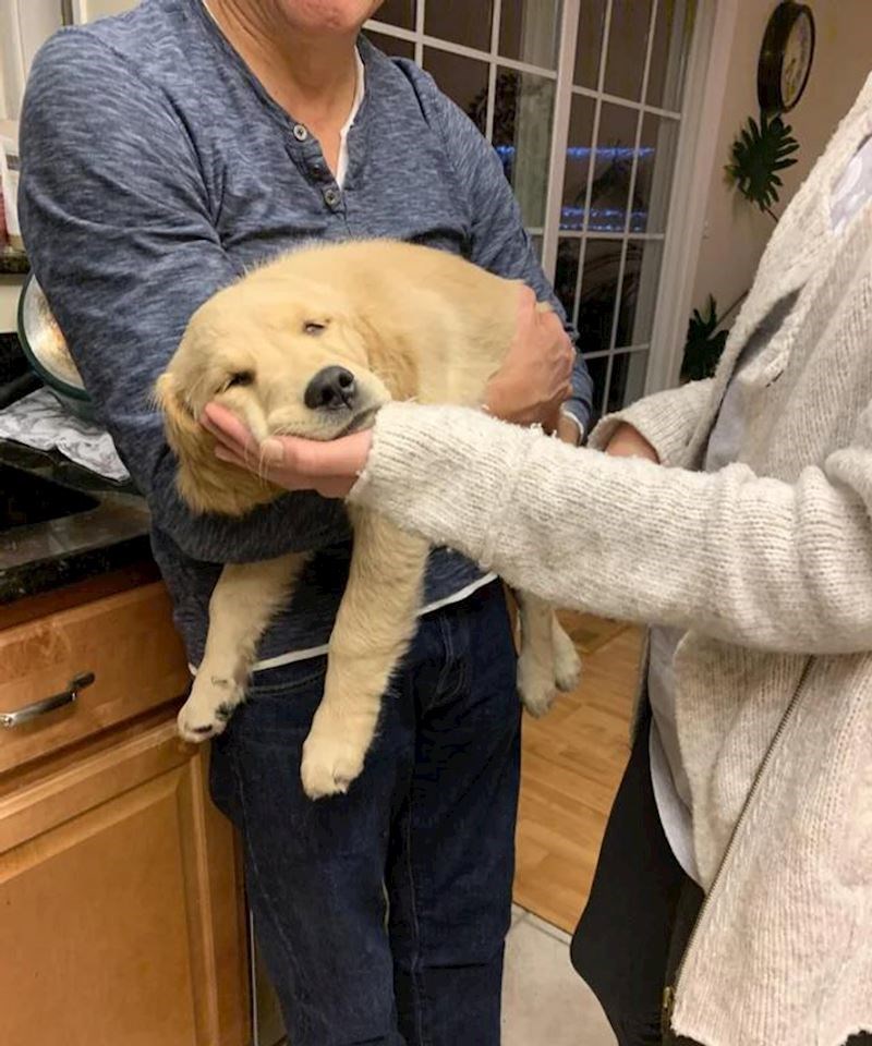 11. Zaspala je na maminoj ruci dok ju je mazila