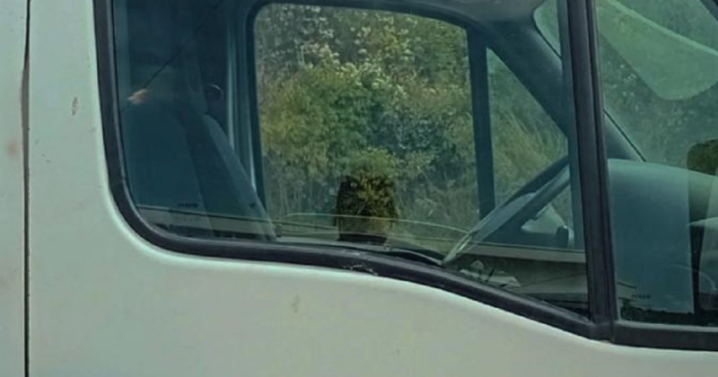 S natpisa na kombiju je otpalo nekoliko slova, novo značenje nasmijalo je ekipu na IG-u