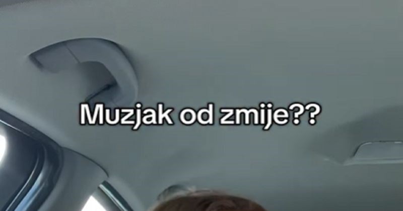 Ako ste ikad pomislili kako se zove mužjak zmije, misterij je konačno riješen. Fora je hit u regiji!