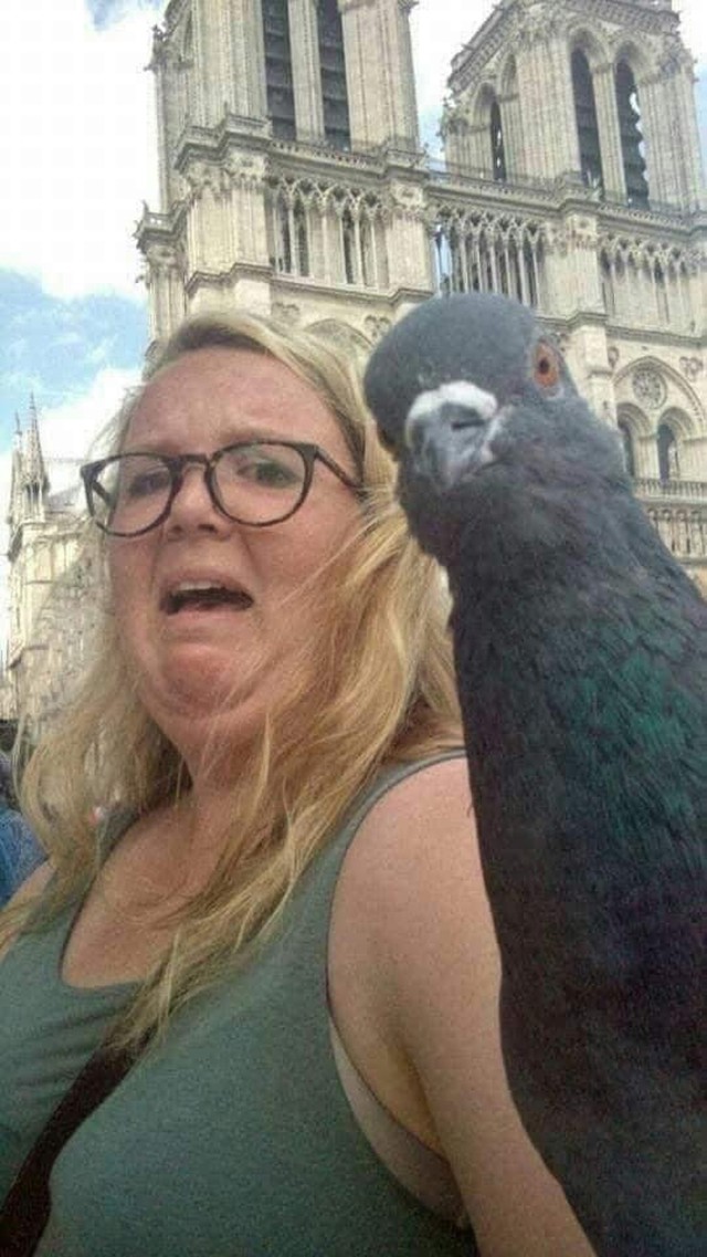 18.