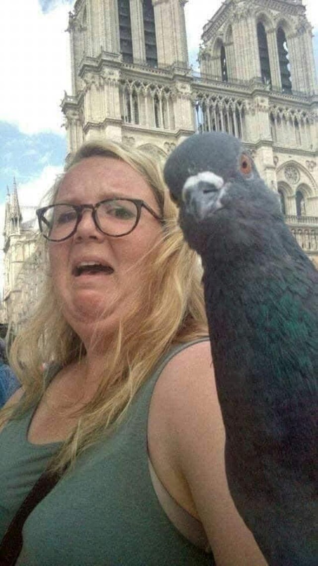 18.